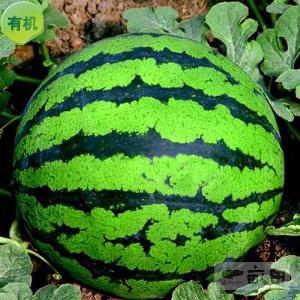4kg-_л  ()л  (4kg)л