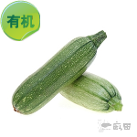 有机西葫芦 
