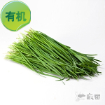 有机韭菜 